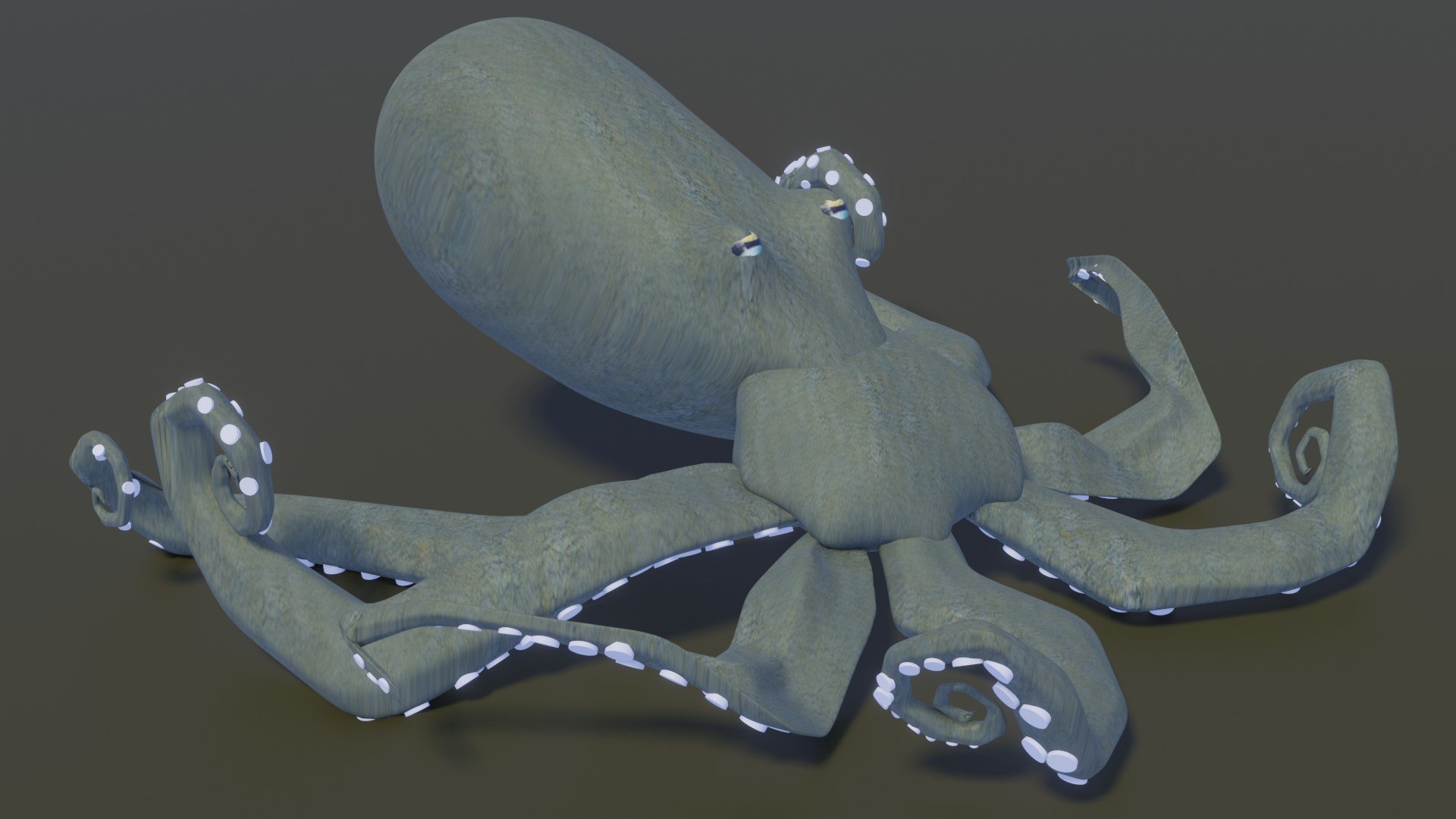 Octopus OBJ 3D Model - TurboSquid 2204892