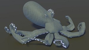 Octopus OBJ 3D model