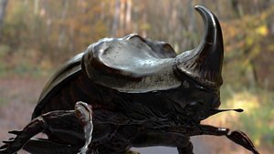 Rhino Beetle