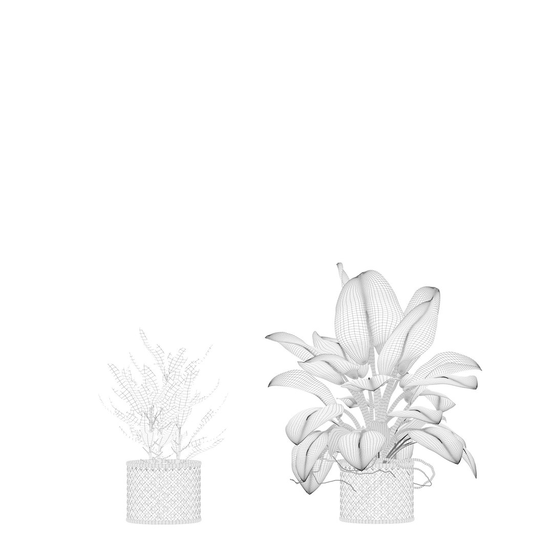 Plants collection 209 - monstera lyrata ficus strelitzia 3D model https://p.turbosquid.com/ts-thumb/4I/aO6G0V/7L/16/jpg/1718621182/1920x1080/fit_q87/91412183fd8aec348444d2ef808889f72814a444/16.jpg