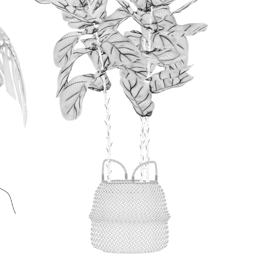 Plants collection 209 - monstera lyrata ficus strelitzia 3D model https://p.turbosquid.com/ts-thumb/4I/aO6G0V/e1/20/jpg/1718621191/1920x1080/fit_q87/d6367b159e8bdca689d697d08bcfea036e0ac9d0/20.jpg
