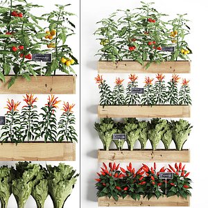 decorative plants kitchen 3D