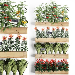 Decorative plants for the kitchen on wooden box 45