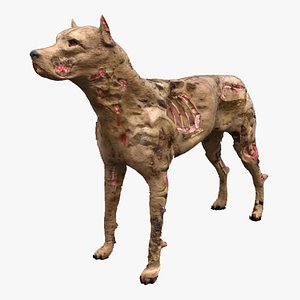 zombie dog