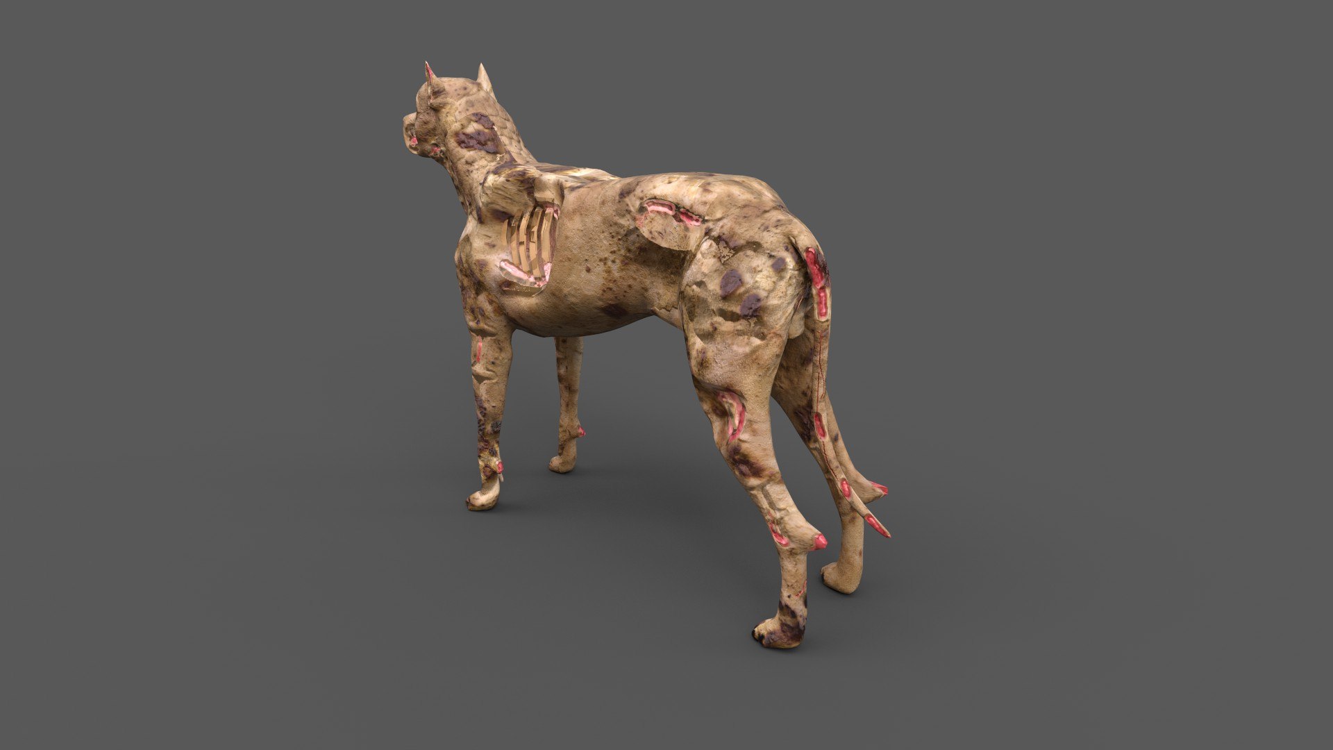 3D zombie dog https://p.turbosquid.com/ts-thumb/4J/0Uyztn/cW/5/jpg/1654342582/1920x1080/fit_q87/d8b36300124a33ce0e1ce6539bfdbe5e0b3cc1bd/5.jpg