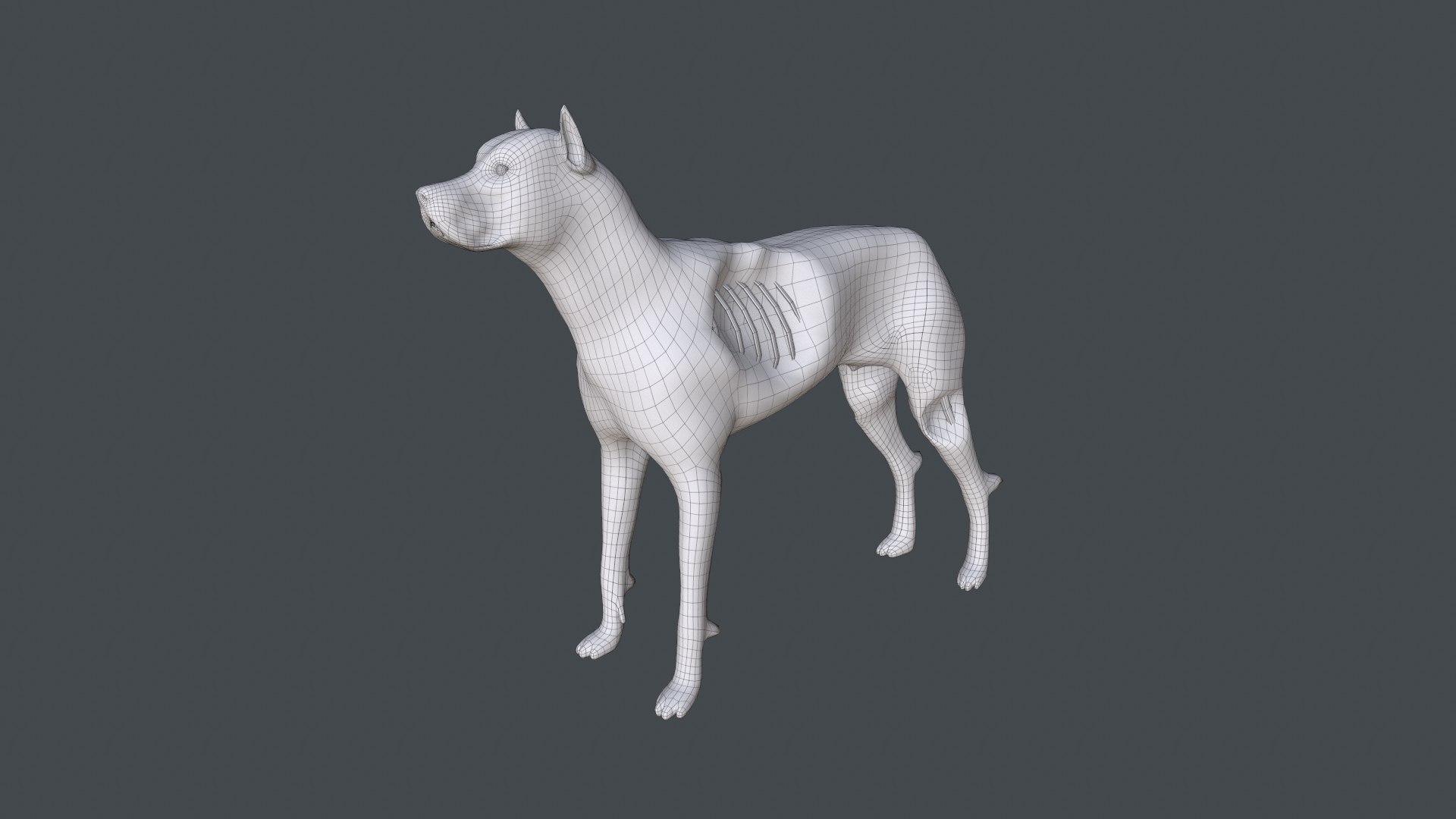3D zombie dog https://p.turbosquid.com/ts-thumb/4J/0Uyztn/lN/wireframe1/png/1654342582/1920x1080/fit_q87/f839d6e9480ba09dac238975be3f7a8c6a7fbece/wireframe1.jpg