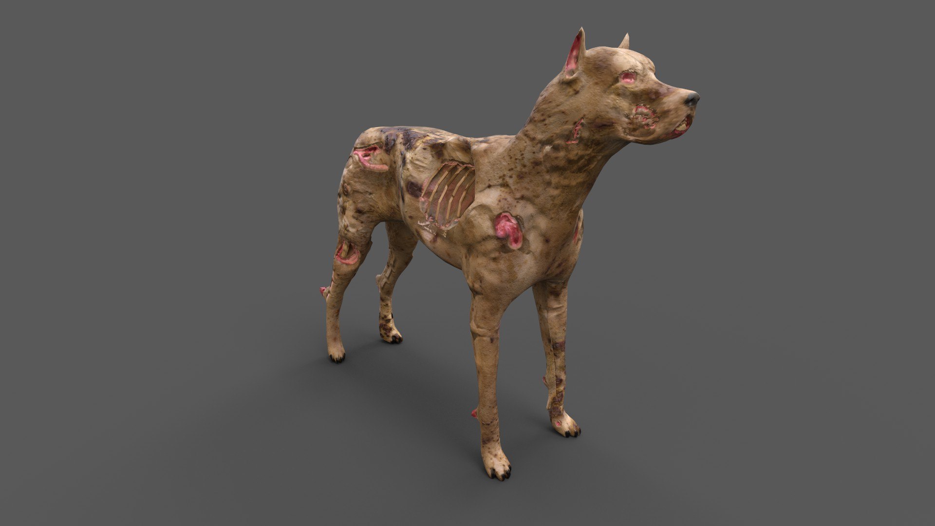 3D zombie dog https://p.turbosquid.com/ts-thumb/4J/0Uyztn/wu/2/jpg/1654342581/1920x1080/fit_q87/5b0c9c29e6c6ad2e6fb7d77dd990a9db8494323c/2.jpg