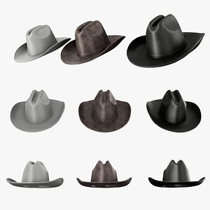Western Style Leather Cowboy Hats 3D
