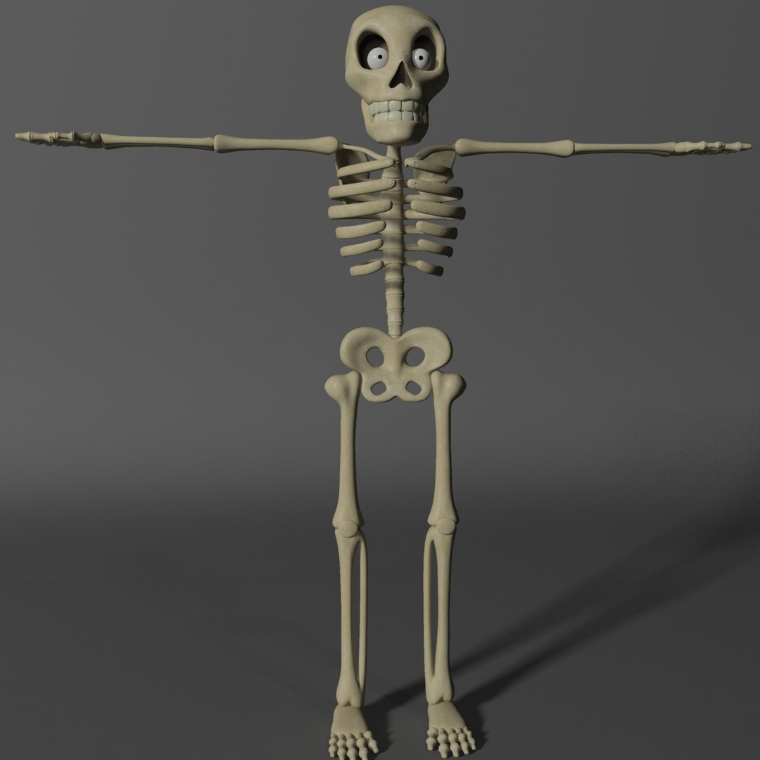 3d 3ds Cartoon Skeleton Rigged