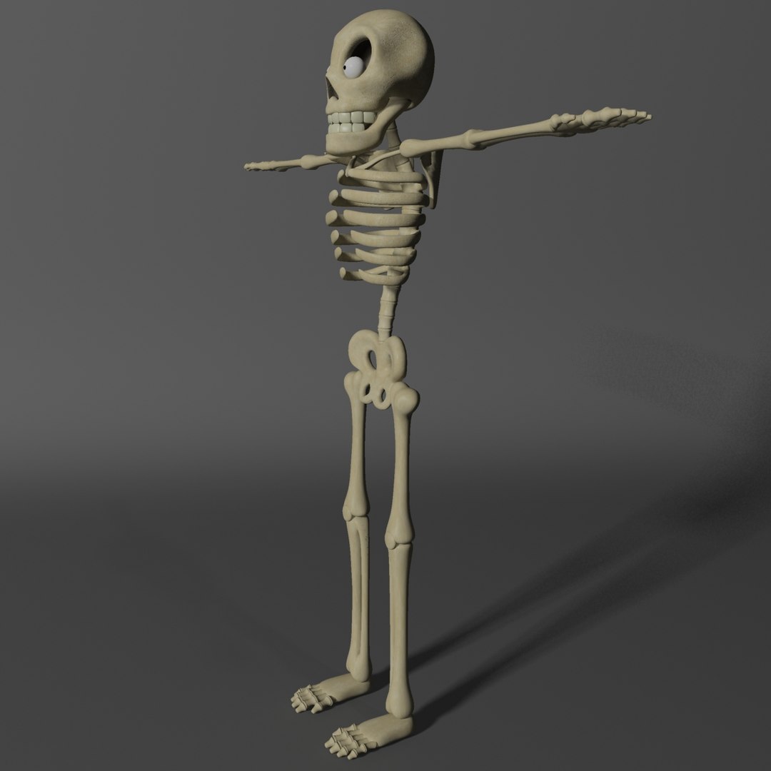3d 3ds Cartoon Skeleton Rigged