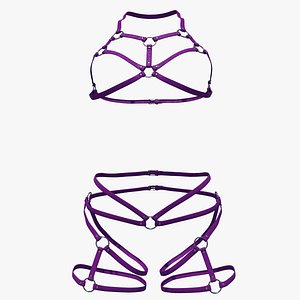 Body Harness