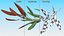 3D Olive Branches Collection model