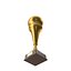 Golden Volleyball Trophy