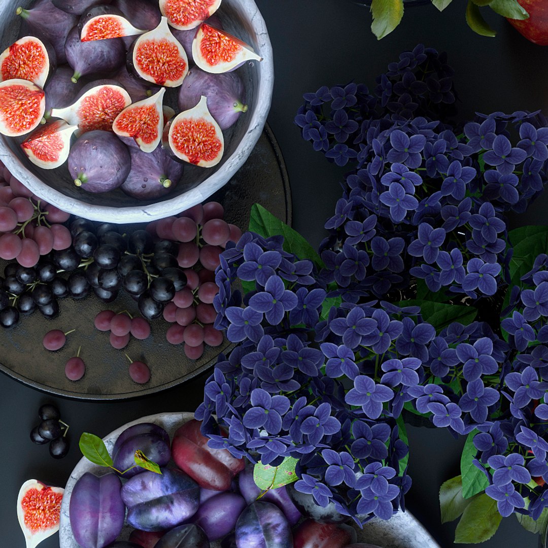 3D fruits purple https://p.turbosquid.com/ts-thumb/4J/Q01lhV/S25BS5Cr/fruits_violet2/jpg/1583685469/1920x1080/fit_q87/af181f414e61bfaca688fd555b14dd2d1f25e56b/fruits_violet2.jpg