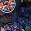 Fruits Purple