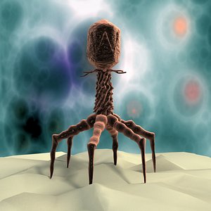 Virus