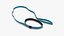 Collection de colliers pour chiens 5
