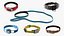 Collection de colliers pour chiens 5