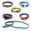 Collection de colliers pour chiens 5