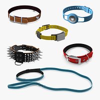 Dog Collars Collection 5