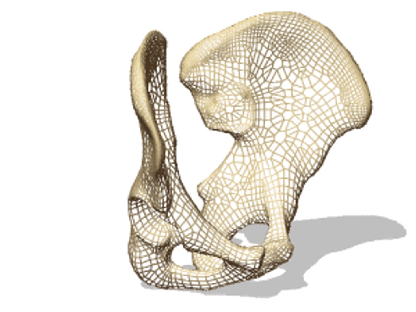 3D human skeleton https://p.turbosquid.com/ts-thumb/4J/j5QoZ8/KZAMacXe/vp1262/gif/1502826482/1920x1080/fit_q87/a4396f65d6a0af1d9a34666ab60131d23838fcd4/vp1262.jpg