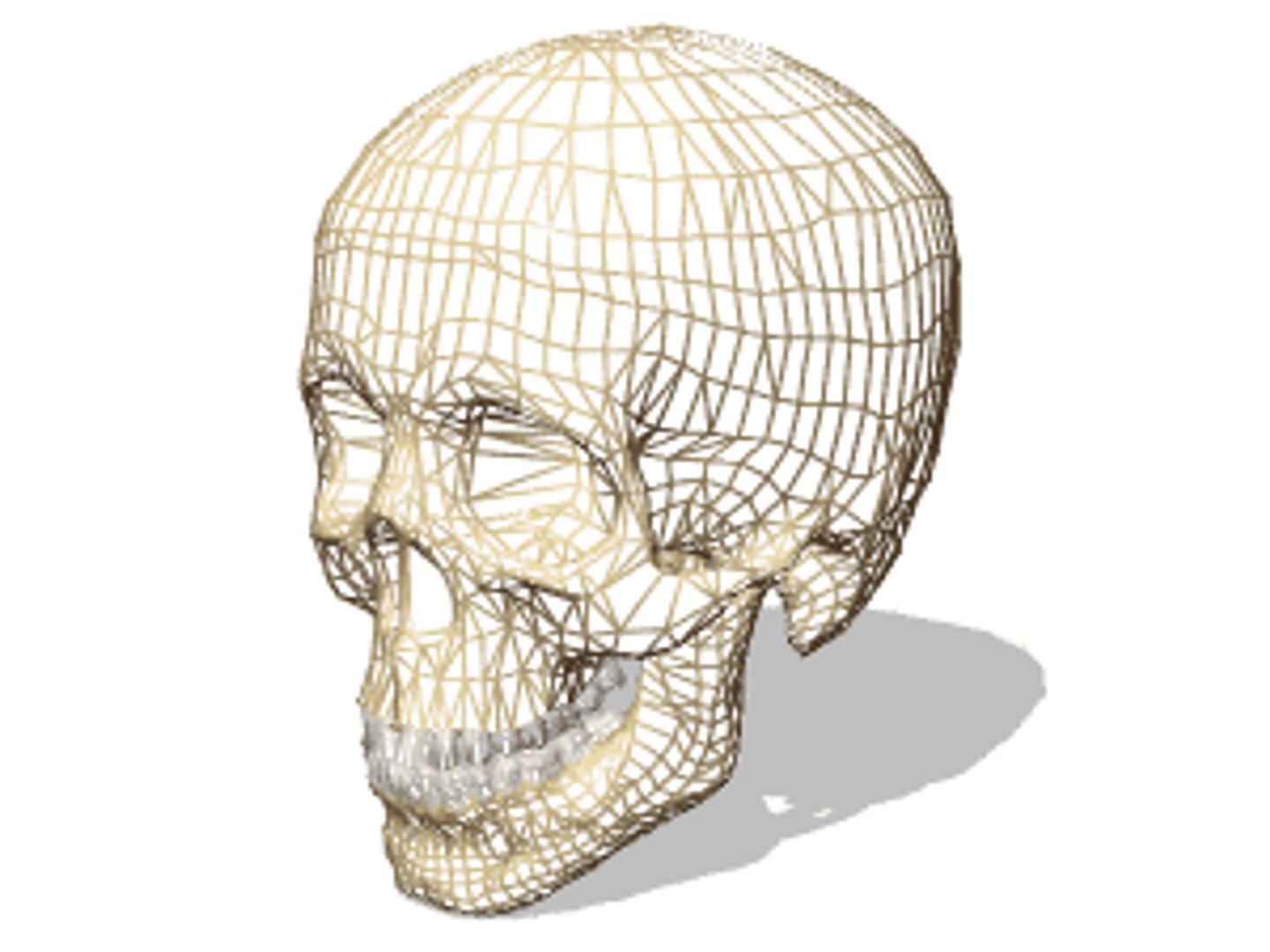 3D human skeleton https://p.turbosquid.com/ts-thumb/4J/j5QoZ8/rELK2kB8/vp1283/gif/1502826482/1920x1080/fit_q87/33171cacf3e268125939a5a8e5daac2c9de2da73/vp1283.jpg
