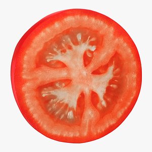 realistic tomato slice model