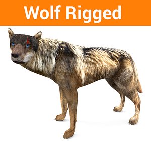 wolf rigged 3D