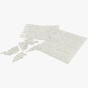 3D paper debris model