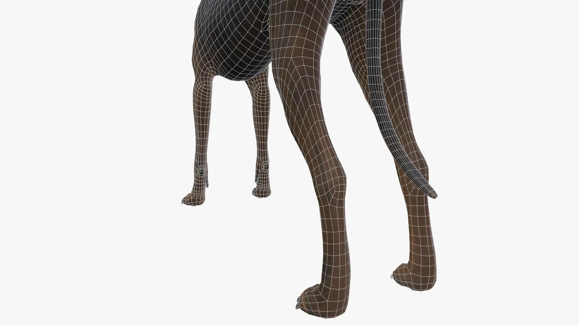 3D Brown Dog - TurboSquid 2330845