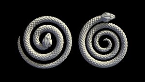 3D model snake
