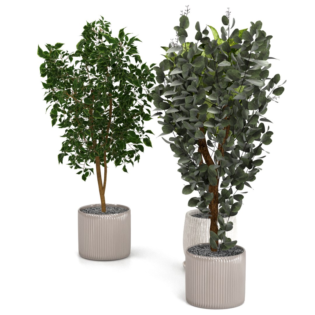 3D indoor plants pots https://p.turbosquid.com/ts-thumb/4K/BqH7jk/2ZOv0RNe/preview4/jpg/1609770075/1920x1080/fit_q87/59f8f971af3d1dc359474380abe3218afb8c9cb0/preview4.jpg