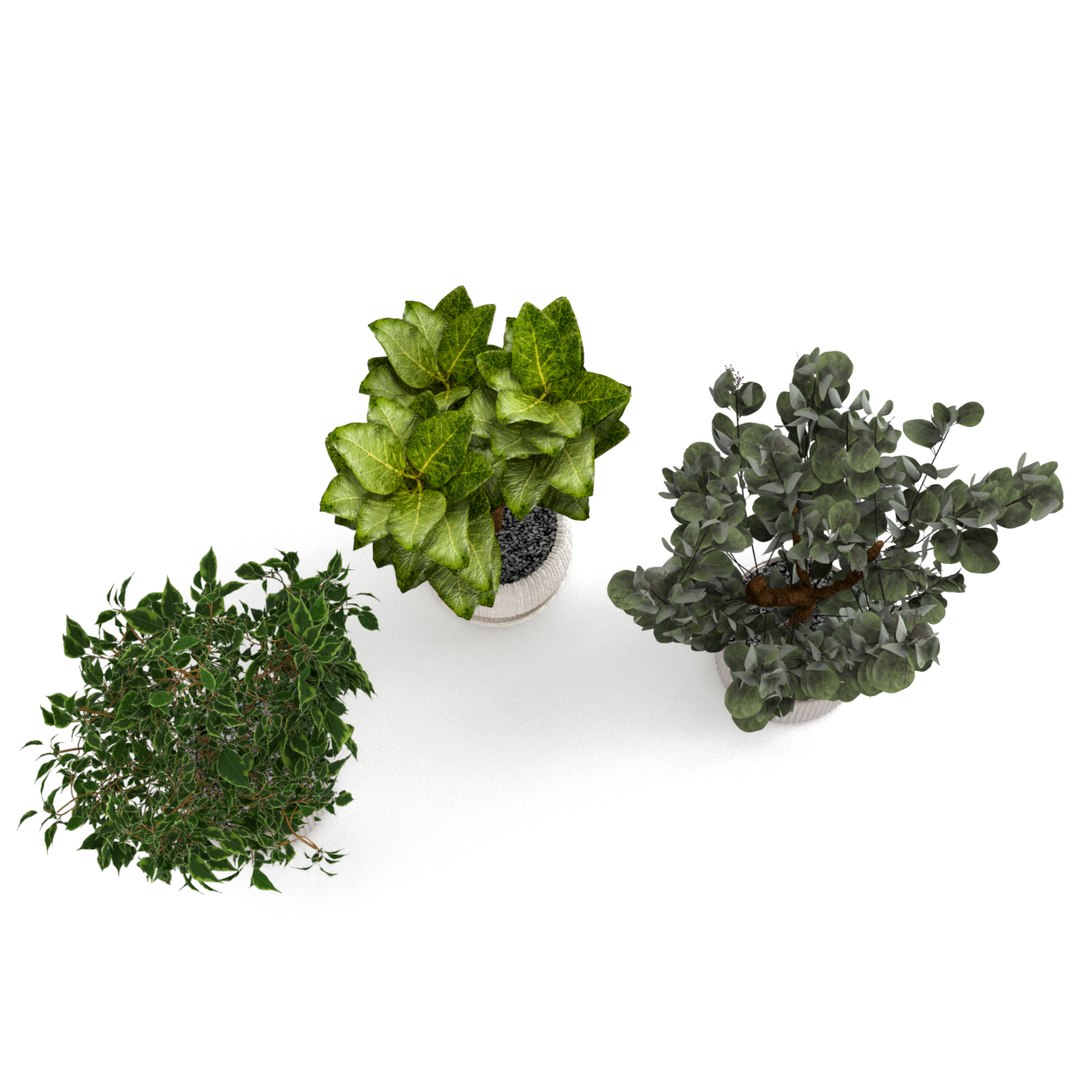 3D indoor plants pots https://p.turbosquid.com/ts-thumb/4K/BqH7jk/Ac6P3XdG/preview3/jpg/1609770075/1920x1080/fit_q87/cda567feace104e5e19d03632fd94a541bbe3a8e/preview3.jpg