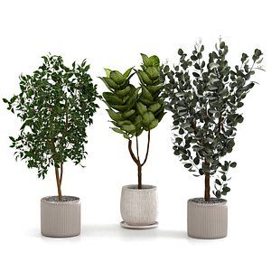 3D indoor plants pots