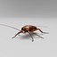 realistic cockroach 3d max