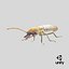 3D model Termite in Creeping Pose
