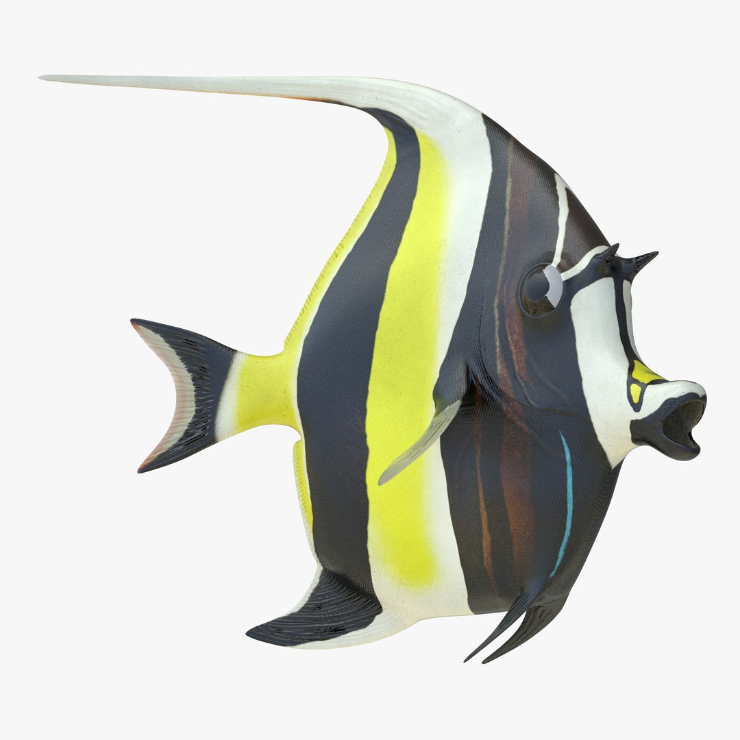 Moorish Idol Fish Rigged 3D model preview