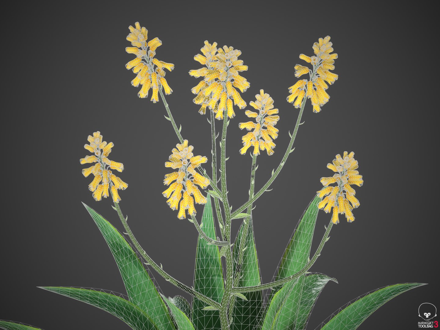 3D XfrogPlants Desert Flora Pack https://p.turbosquid.com/ts-thumb/4K/QlAOu0/Gh/screenshot001/png/1618433024/1920x1080/fit_q87/5124a32355b97bbe7322d3aa32d8666466569077/screenshot001.jpg