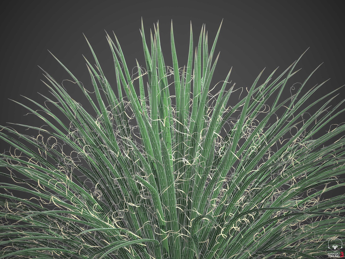 3D XfrogPlants Desert Flora Pack https://p.turbosquid.com/ts-thumb/4K/QlAOu0/Uj/wireframe1/jpg/1618432998/1920x1080/fit_q87/eee57edc048e4946573f7d59f7db9f808a37869b/wireframe1.jpg