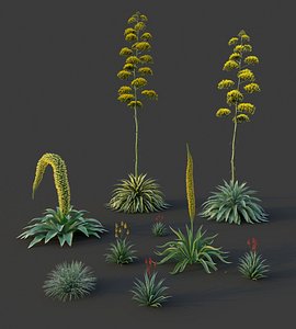 XfrogPlants Desert Flora Pack