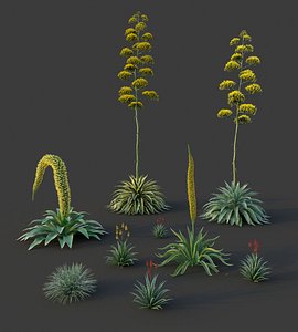 XfrogPlants Desert Flora Pack