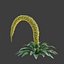 Pack de flore du désert XfrogPlants