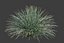 Pack de flore du désert XfrogPlants