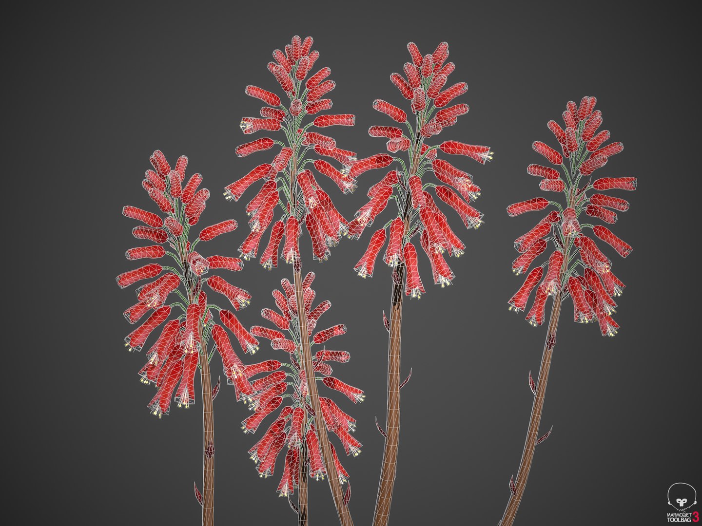 3D XfrogPlants Desert Flora Pack https://p.turbosquid.com/ts-thumb/4K/QlAOu0/te/screenshot003/png/1618433032/1920x1080/fit_q87/9da6c90b5731ea26d8d503595c74e913780b7236/screenshot003.jpg
