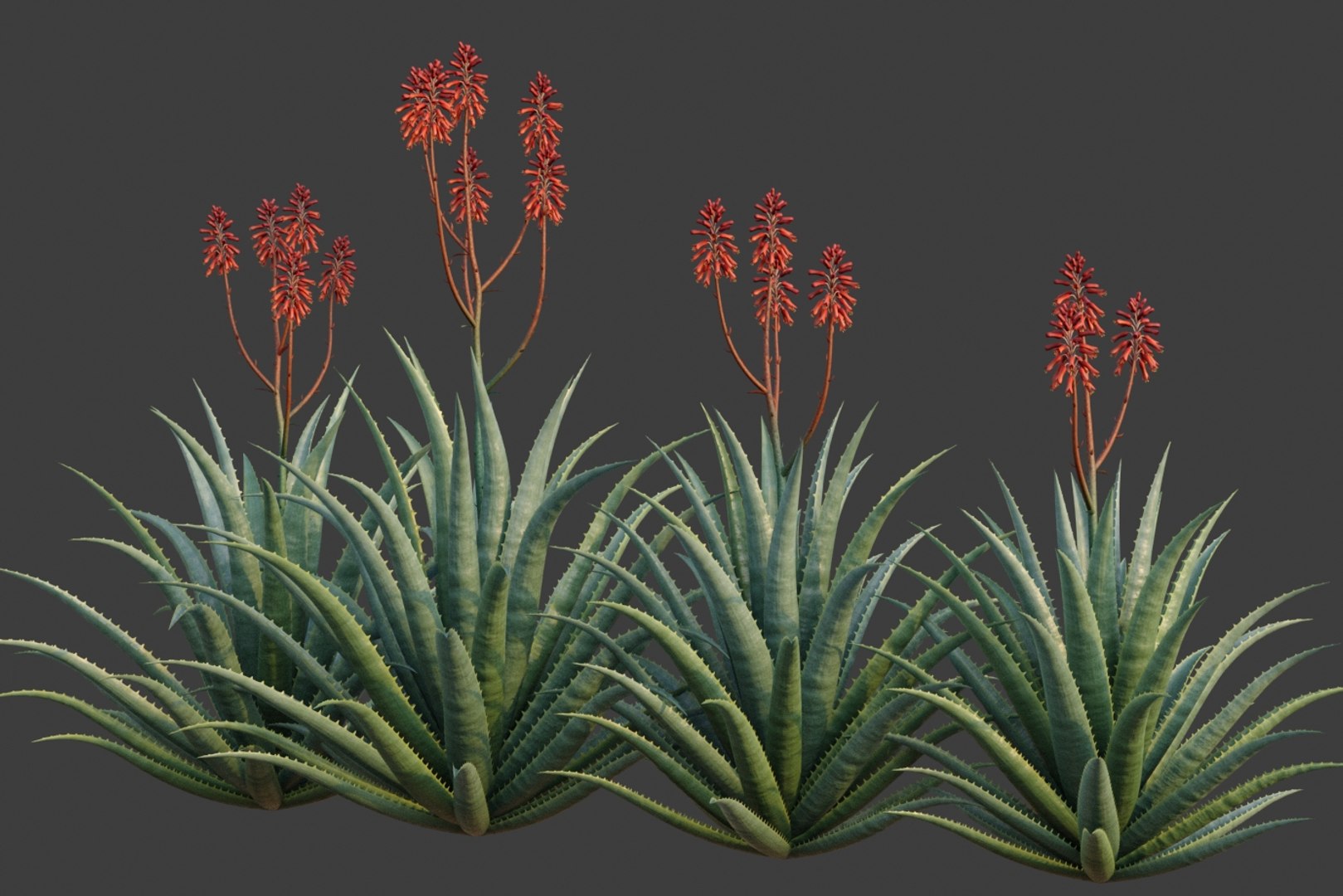 3D XfrogPlants Desert Flora Pack https://p.turbosquid.com/ts-thumb/4K/QlAOu0/zp/aloeblueelf01/jpg/1618433030/1920x1080/fit_q87/f2a0b85b16f6f9fb049a3aeb17b1a632efed4120/aloeblueelf01.jpg