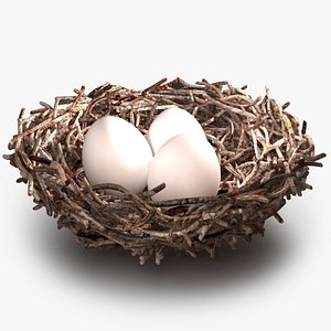 3D bird nest