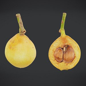 Fruit Loquat Low Poly model