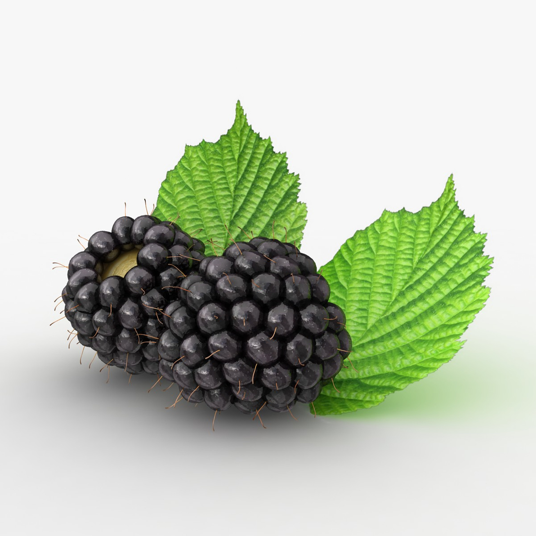 3d realistic raspberry set