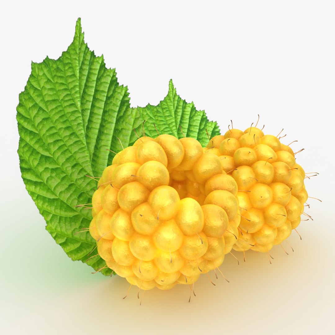 3d realistic raspberry set