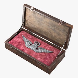 Wings Emblem in Wood Box